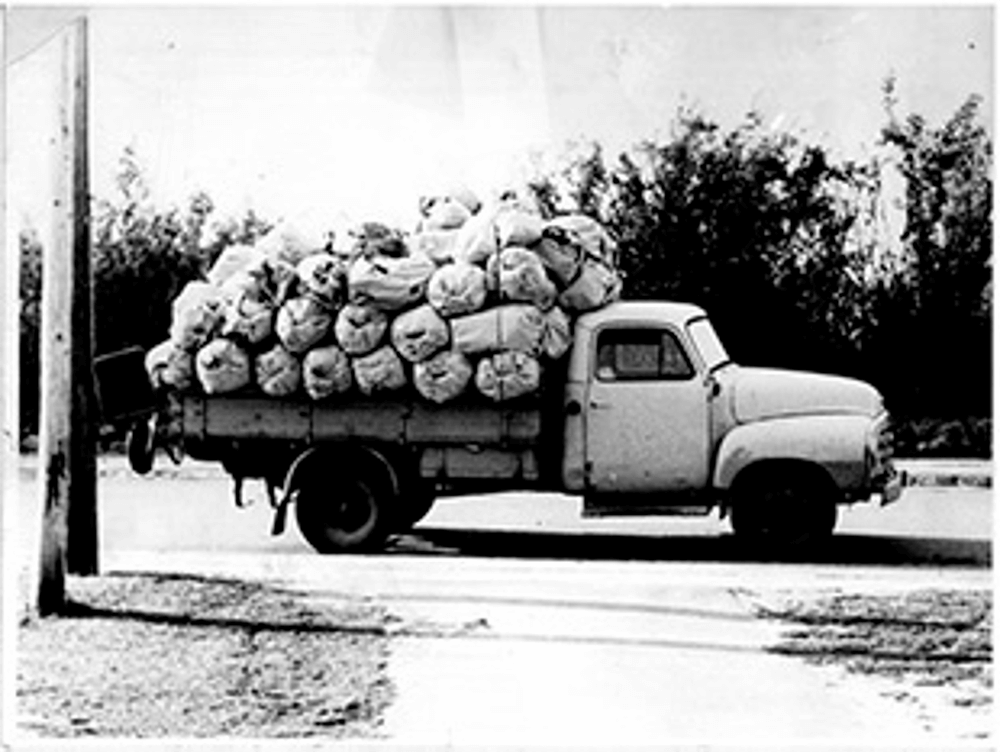historie_1952 historie 1952 | HC Container